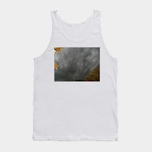 The Calm Before The Storm Tank Top